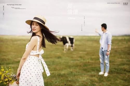 风在吹,探寻自然之力的诗意与力量