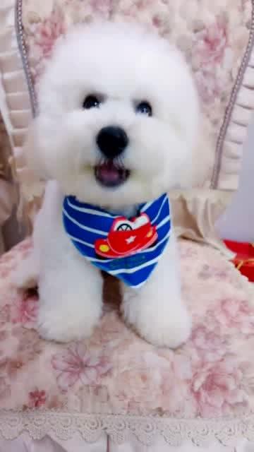 乖，亲一下,温馨一吻