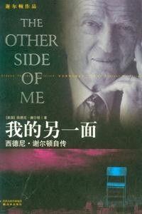 我的另一面,探索自我另一面的奥秘与启示